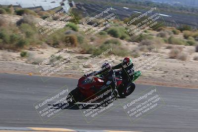 media/Nov-11-2023-SoCal Trackdays (Sat) [[efd63766ff]]/Turn 10 Inside (120pm)/